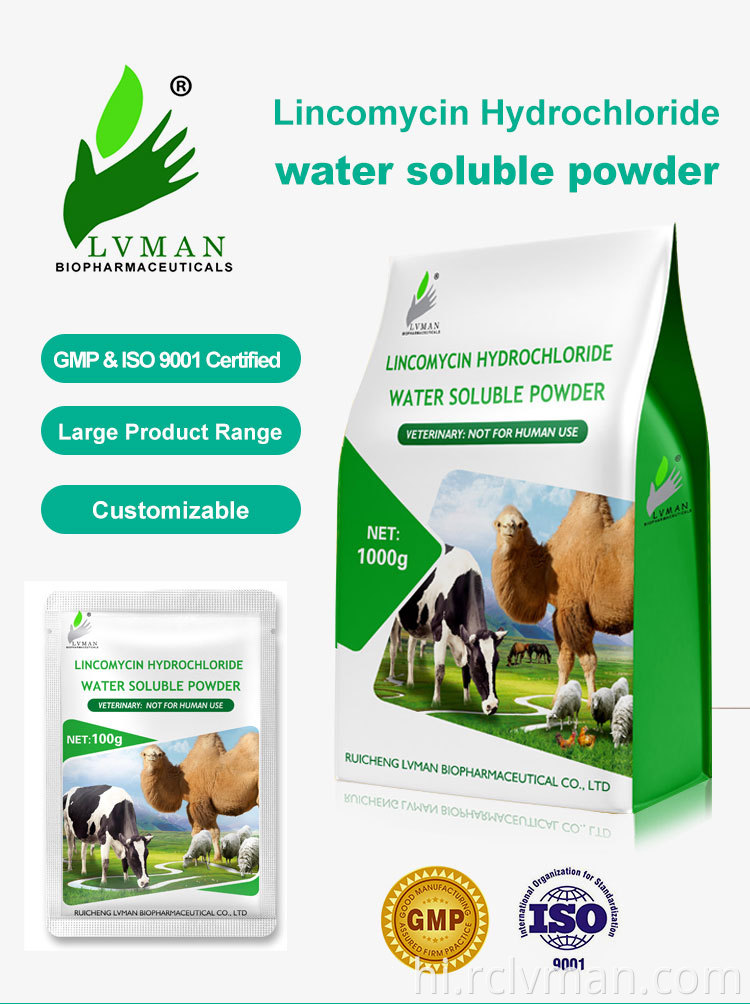 लिनकोमाइसिन हाइड्रोक्लोराइड 01 Lincomycin Hydrochloride 01